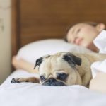 2017 Nobel Prize in medicine awarded to research on circadian rhythm