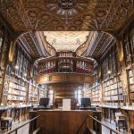 A typical day in a librarian's life