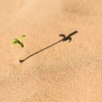 50 tips on academic research and manuscsript writing