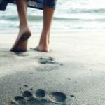 Learning to live a little, as I wait for my PhD dream