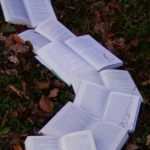 What I learned by writing a dissertation