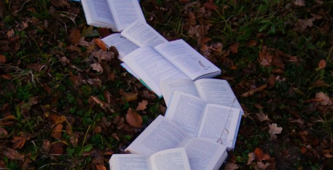  The lessons I’ve learned by writing a dissertation
