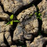 Don’t know where to start? 6 Tips on identifying research gaps