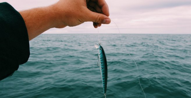 Predatory and pseudo-scientific publishing: A dramatic threat to scientific rigor and research
