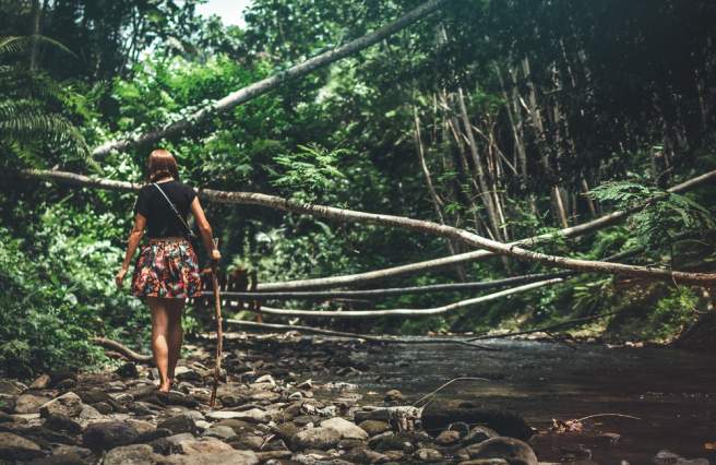 A totally expected journey to becoming an ecologist