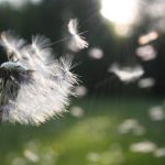On transitions: Everything at once