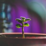 A new start: I am no longer just a student