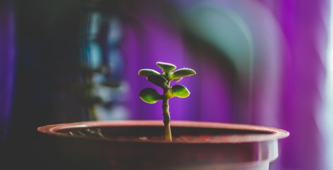 A new start: I am no longer just a student
