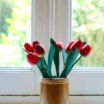 The 7 lessons I learned during the first year of my PhD