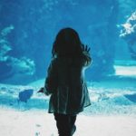 Make a wish: Being a marine biologist for a day
