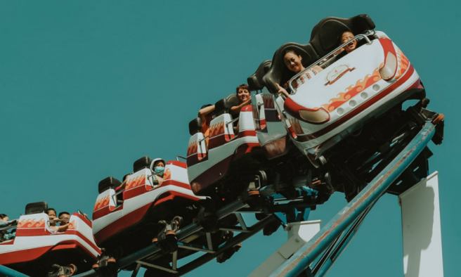 PhD life or roller coaster ride?