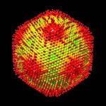 A 3D reconstruction of the Medusavirus particle