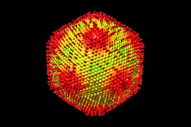 New giant virus may help understand the emergence of complex life
