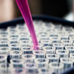 White House launches a joint committee to improve research productivity
