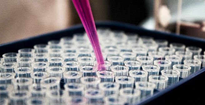 White House launches a joint committee to improve research productivity