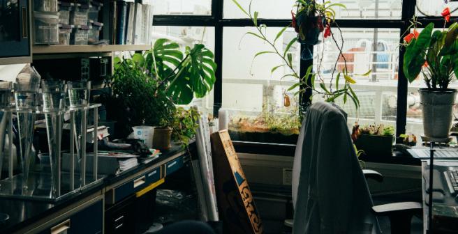 Lab history: The things you see when you stick around forever (Part 1)