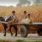 On fieldwork in rural Punjab: Do you see what I see?