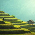 Epigenetic regulation mechanism underlies improved stress response in plants, which can be exploited for global food security