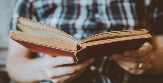 The dark side of getting tenure, accepting review requests on holiday, trolling in peer review, and more (Good reads, August 2019)