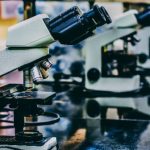 2019 Lasker Awards recognize achievements in immunology, oncology, and childhood vaccination