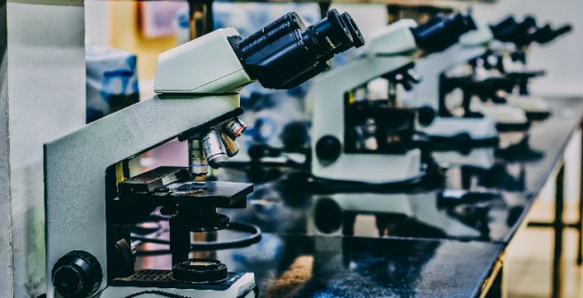 2019 Lasker Awards recognize achievements in immunology, oncology, and childhood vaccination