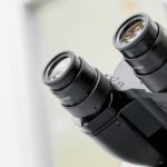 Cambridge University Press launches a journal to boost reproducibility of results and transparency of reviews
