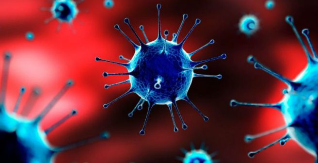 Discovery of novel cancer signaling mechanism and anticancer compound design