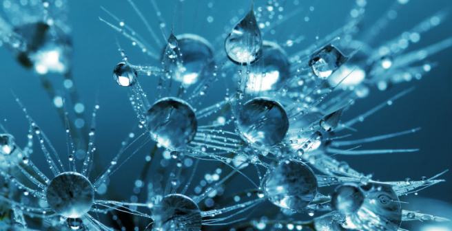 Charge change: How electric forces vary in colloids