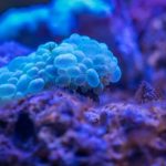 The threat of multidrug resistance: one step toward unraveling the rise of superbacteria