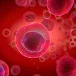 Scientists discover how the molecule-sorting station in our cells is formed and maintained