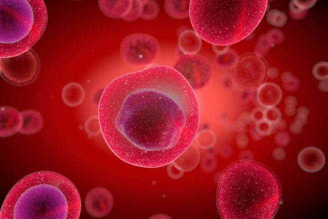Scientists discover how molecule-sorting station in our cells is formed and maintained