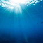 New water-based optical device revolutionizes the field of optics research