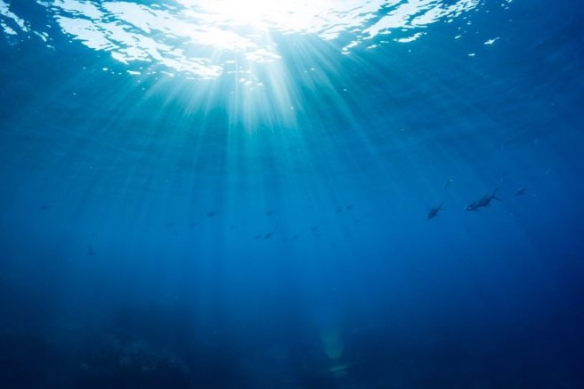 New water-based optical device revolutionizes the field of optics research