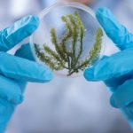 So you want to be a research scientist
