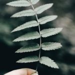 12 Personal Attributes of a Successful Researcher