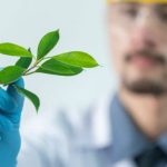 New study on a recently discovered chlorophyll molecule could be key to better solar cells