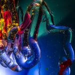 New model explains unique transport dynamics of complex fluids