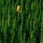 Outcasts inspired this PhD researcher’s PhD topic