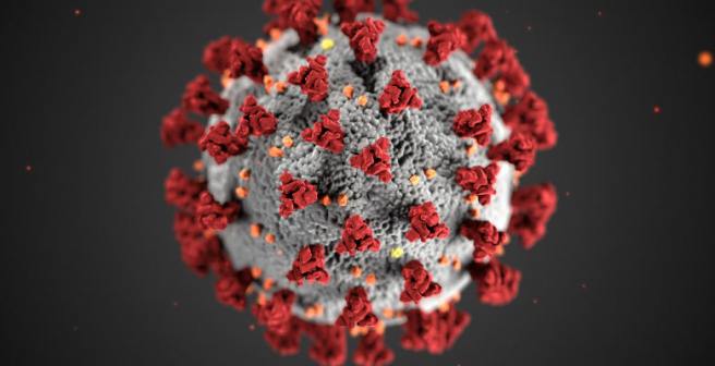 Webinar with leading virologist Dr. Shahid Jameel on tacking COVID-19 pandemic