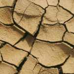 Why the ongoing COVID-19 global pandemic is worrying researchers