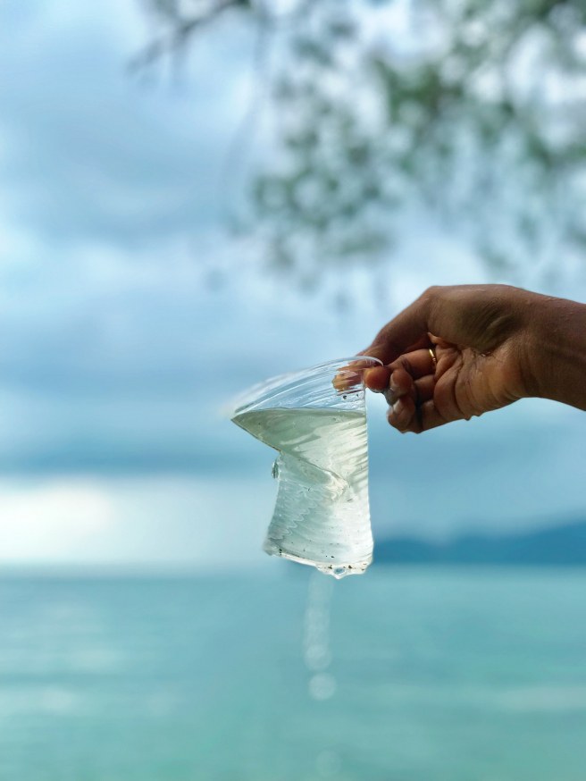 A radar for plastic: High-resolution map to track plastic emissions in seas