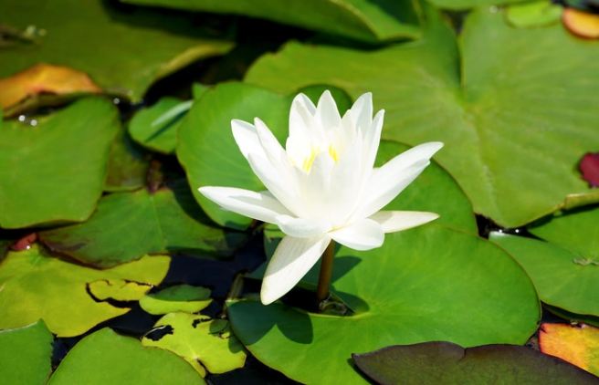 Try to be compassionate to yourself and to others