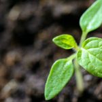 Cactus Communications launches an integrated ecosystem of tools to simplify researchers' life