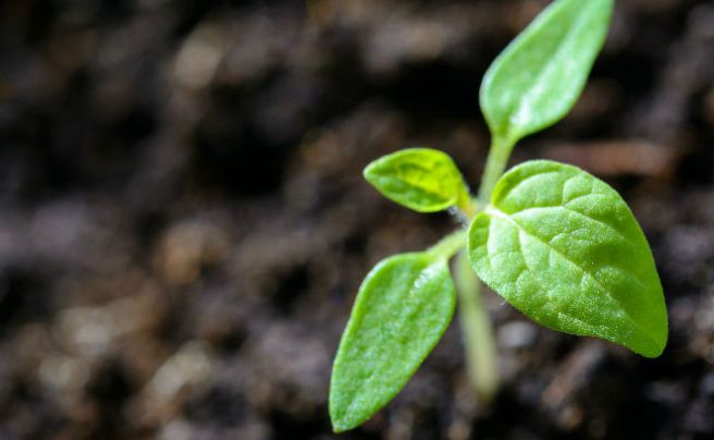  Cactus Communications launches an integrated ecosystem of tools to simplify researchers’ life
