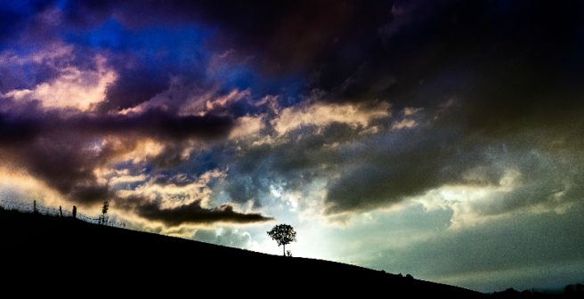 My little silver lining to the COVID-19 clouds of anxiety