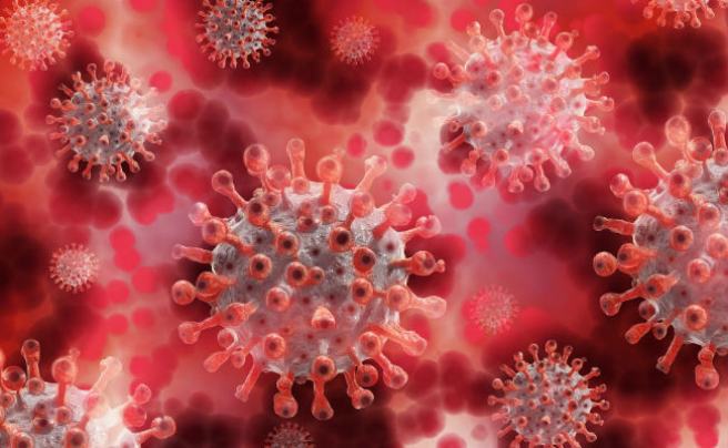 Keep up to date with new research literature related to COVID-19