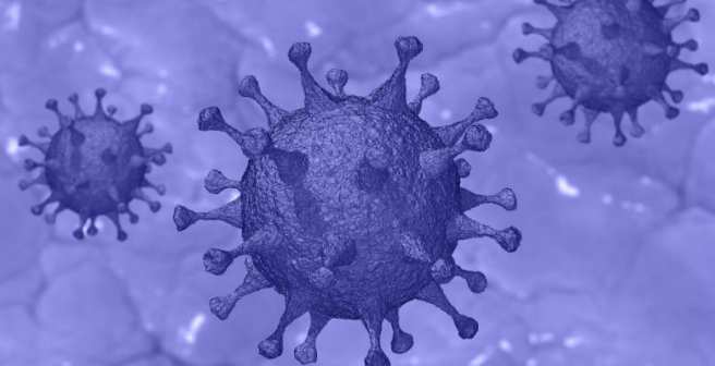 Webinar on COVID-19 and vaccine development