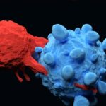 How the Regulator is Regulated—Insight into Immune-Related Protein Holds Therapeutic Value