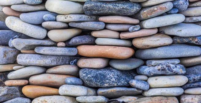 WEBINAR: Building trust in and through the peer review process