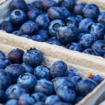 New compound from blueberries could treat inflammatory disorders